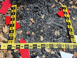 wildland fire origin investigation Vallerga Fire
